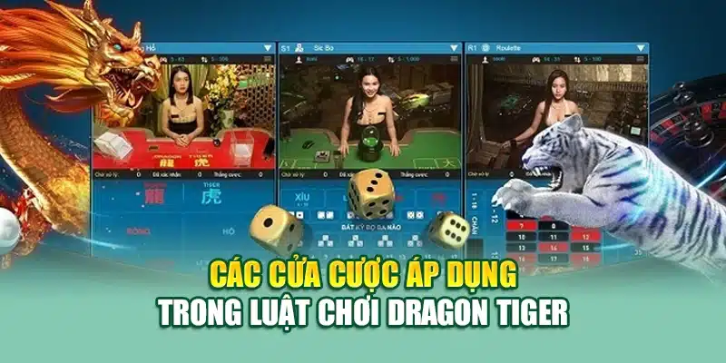 Luật Chơi Rồng Hổ Tại 79King Chi Tiết Cho Người Mới 2 Các cửa cược áp dụng trong luật chơi Dragon Tiger