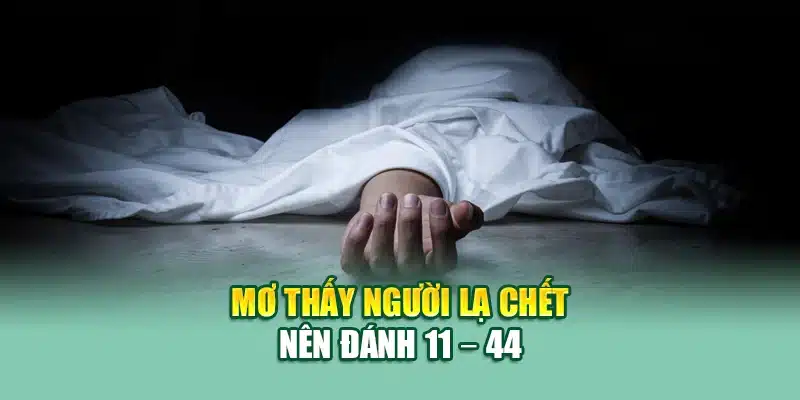 Mơ Thấy Người Chết Đánh Lô Gì? Gợi Ý Chuẩn Tại 79king 1 Mơ thấy người lạ chết nên đánh 11 – 44
