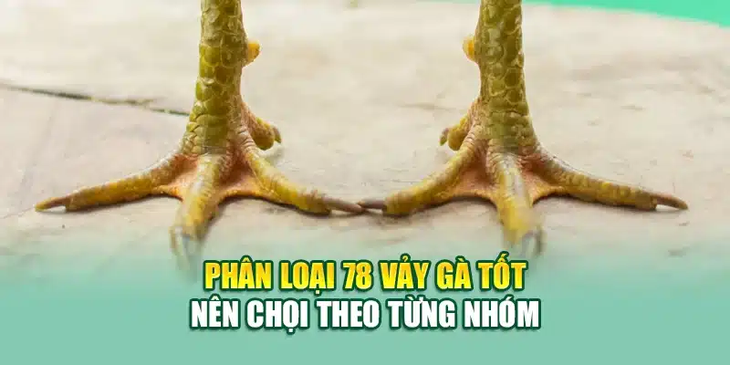 78 Vảy Gà Tốt Nên Chọi – Bí Quyết Chọn Chiến Kê Đỉnh Cao 1 Phân loại 78 vảy gà tốt nên chọi theo từng nhóm