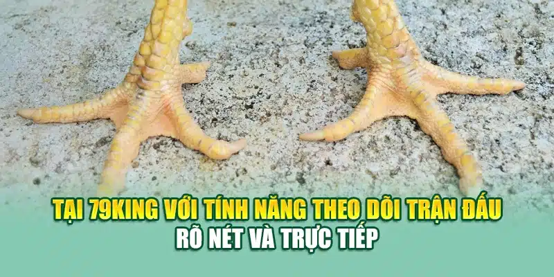 Gà Vảy Cá – Bí Quyết Chọn Chiến Kê Độc Lạ Tại 79King 3 Tại 79King với tính năng theo dõi trận đấu rõ nét và trực tiếp